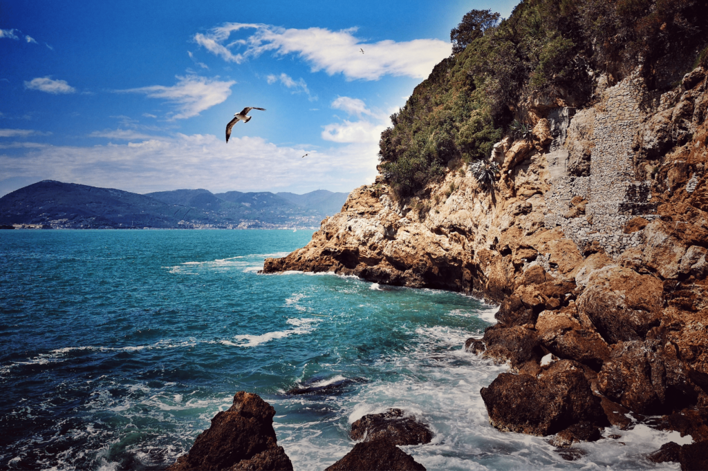contatti